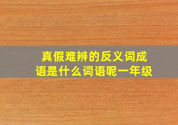 真假难辨的反义词成语是什么词语呢一年级