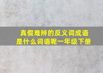 真假难辨的反义词成语是什么词语呢一年级下册