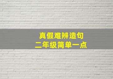 真假难辨造句二年级简单一点