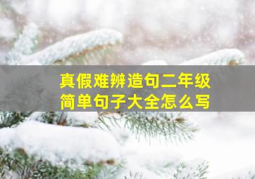 真假难辨造句二年级简单句子大全怎么写