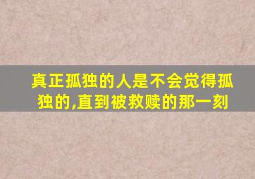 真正孤独的人是不会觉得孤独的,直到被救赎的那一刻