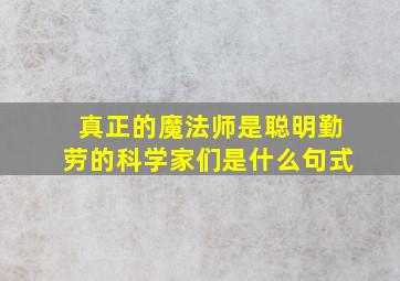 真正的魔法师是聪明勤劳的科学家们是什么句式