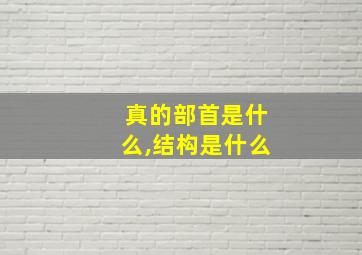 真的部首是什么,结构是什么