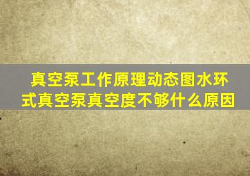 真空泵工作原理动态图水环式真空泵真空度不够什么原因