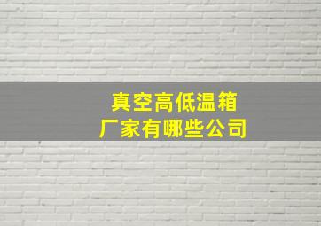 真空高低温箱厂家有哪些公司