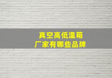 真空高低温箱厂家有哪些品牌