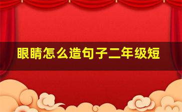 眼睛怎么造句子二年级短