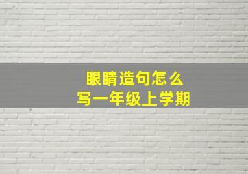 眼睛造句怎么写一年级上学期