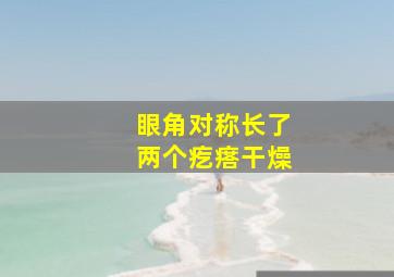 眼角对称长了两个疙瘩干燥