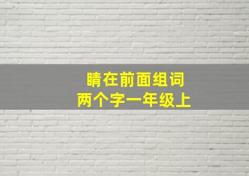 睛在前面组词两个字一年级上