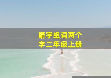 睛字组词两个字二年级上册