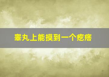 睾丸上能摸到一个疙瘩