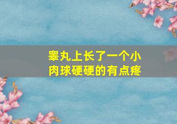 睾丸上长了一个小肉球硬硬的有点疼