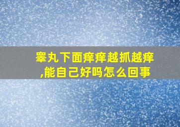 睾丸下面痒痒越抓越痒,能自己好吗怎么回事