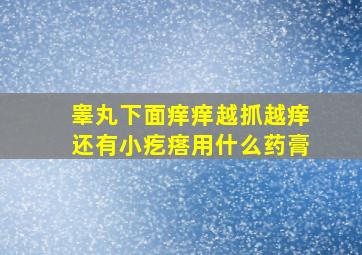 睾丸下面痒痒越抓越痒还有小疙瘩用什么药膏