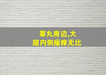 睾丸旁边,大腿内侧瘙痒无比