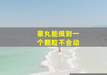 睾丸能摸到一个颗粒不会动