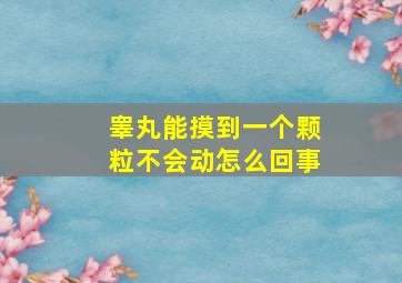 睾丸能摸到一个颗粒不会动怎么回事