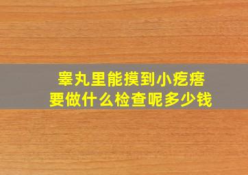 睾丸里能摸到小疙瘩要做什么检查呢多少钱