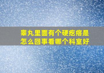 睾丸里面有个硬疙瘩是怎么回事看哪个科室好