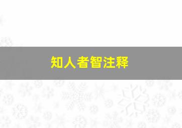 知人者智注释