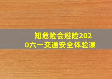 知危险会避险2020六一交通安全体验课