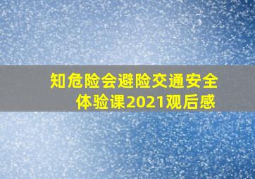 知危险会避险交通安全体验课2021观后感