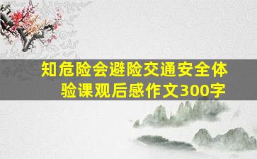 知危险会避险交通安全体验课观后感作文300字