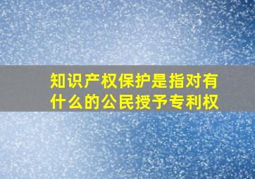 知识产权保护是指对有什么的公民授予专利权