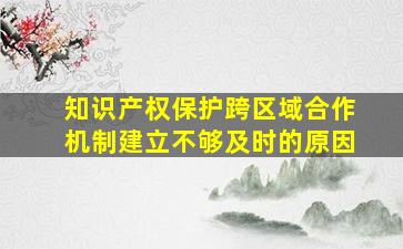 知识产权保护跨区域合作机制建立不够及时的原因