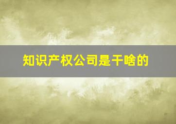 知识产权公司是干啥的