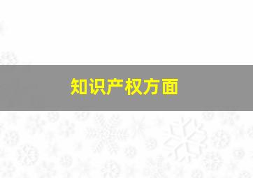 知识产权方面