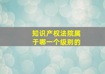 知识产权法院属于哪一个级别的