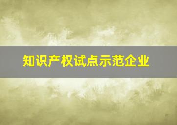 知识产权试点示范企业