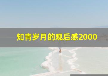 知青岁月的观后感2000