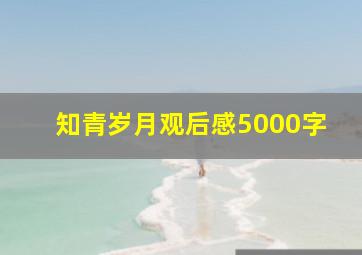 知青岁月观后感5000字