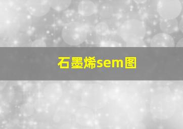 石墨烯sem图