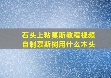 石头上粘莫斯教程视频自制慕斯树用什么木头