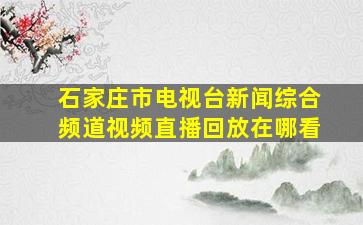 石家庄市电视台新闻综合频道视频直播回放在哪看