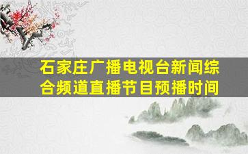 石家庄广播电视台新闻综合频道直播节目预播时间