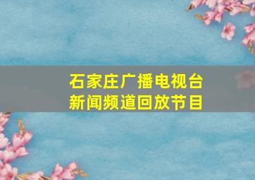 石家庄广播电视台新闻频道回放节目