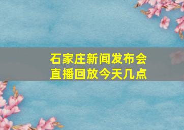 石家庄新闻发布会直播回放今天几点