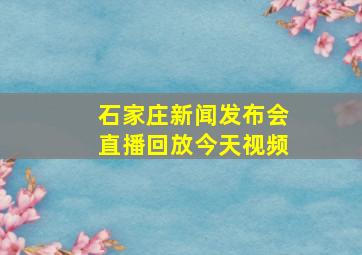 石家庄新闻发布会直播回放今天视频