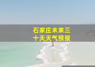 石家庄未来三十天天气预报