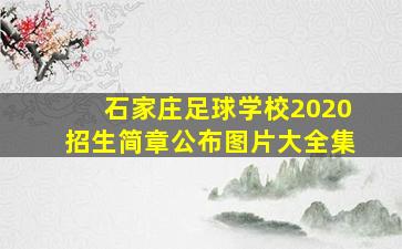 石家庄足球学校2020招生简章公布图片大全集