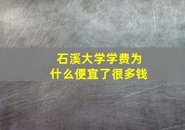 石溪大学学费为什么便宜了很多钱