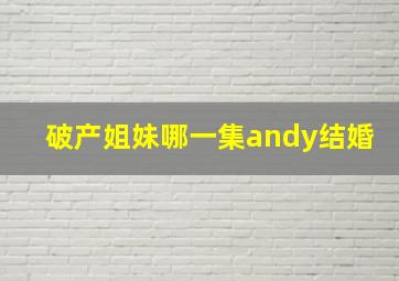 破产姐妹哪一集andy结婚