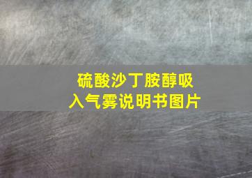 硫酸沙丁胺醇吸入气雾说明书图片