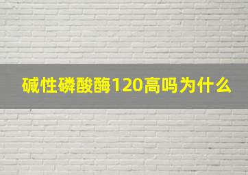 碱性磷酸酶120高吗为什么