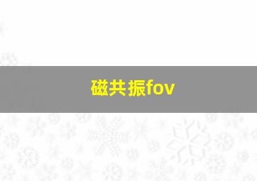 磁共振fov